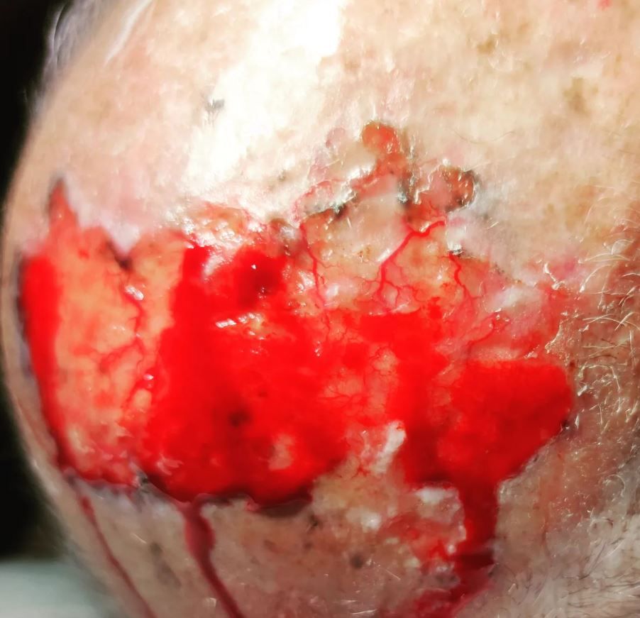 Daniel Alejandro Cantu Pedroza-3