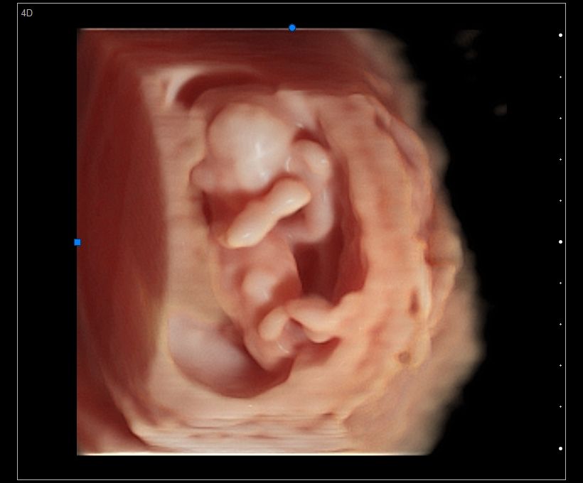 Cynthia Gina Morales Domínguez-9