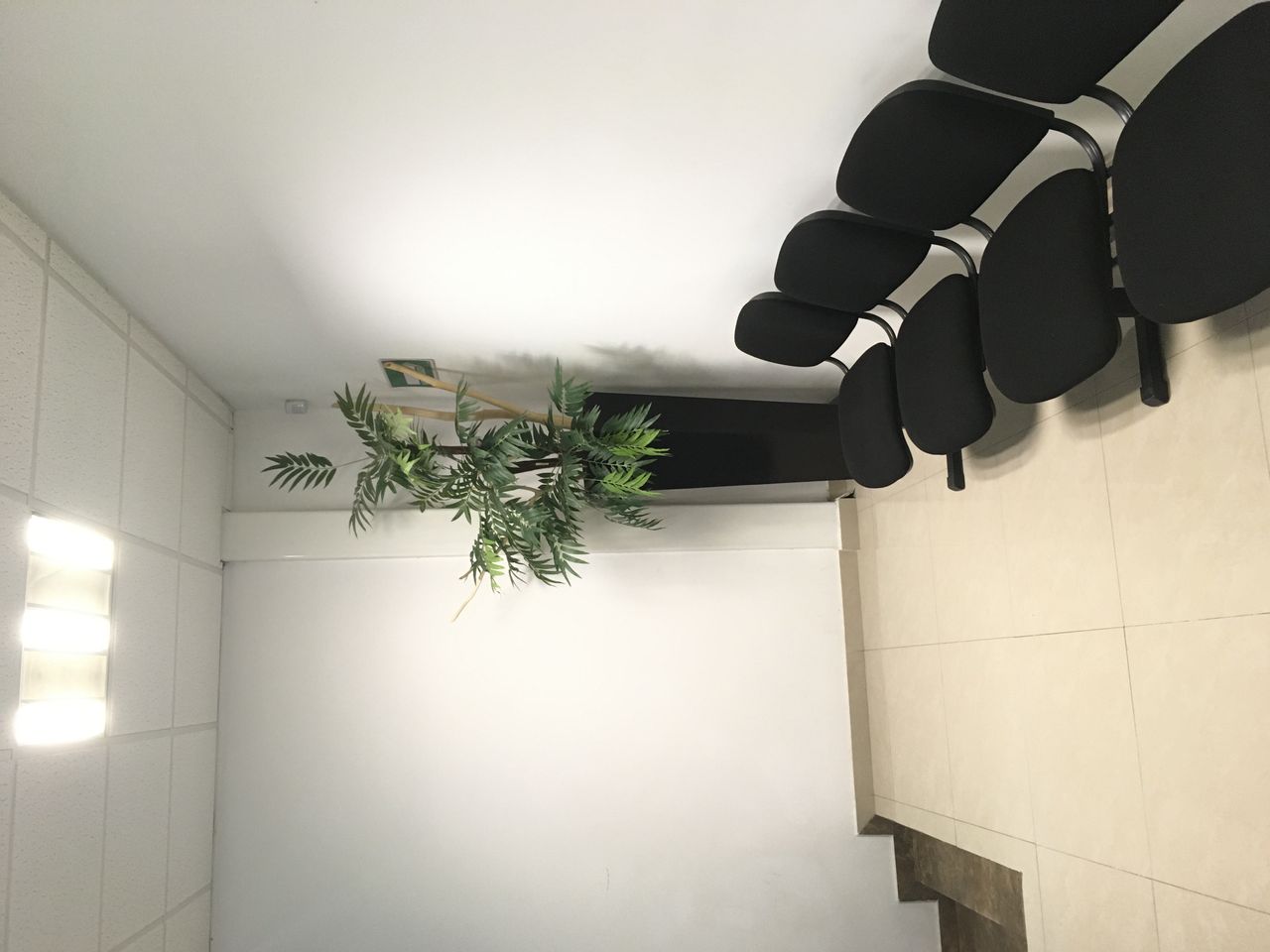 Damara Garduño Lugo-4