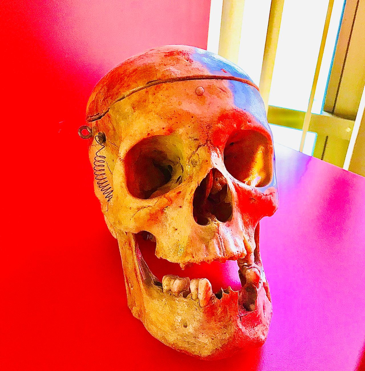 Ingrid Paola Bañuelos Chao-13