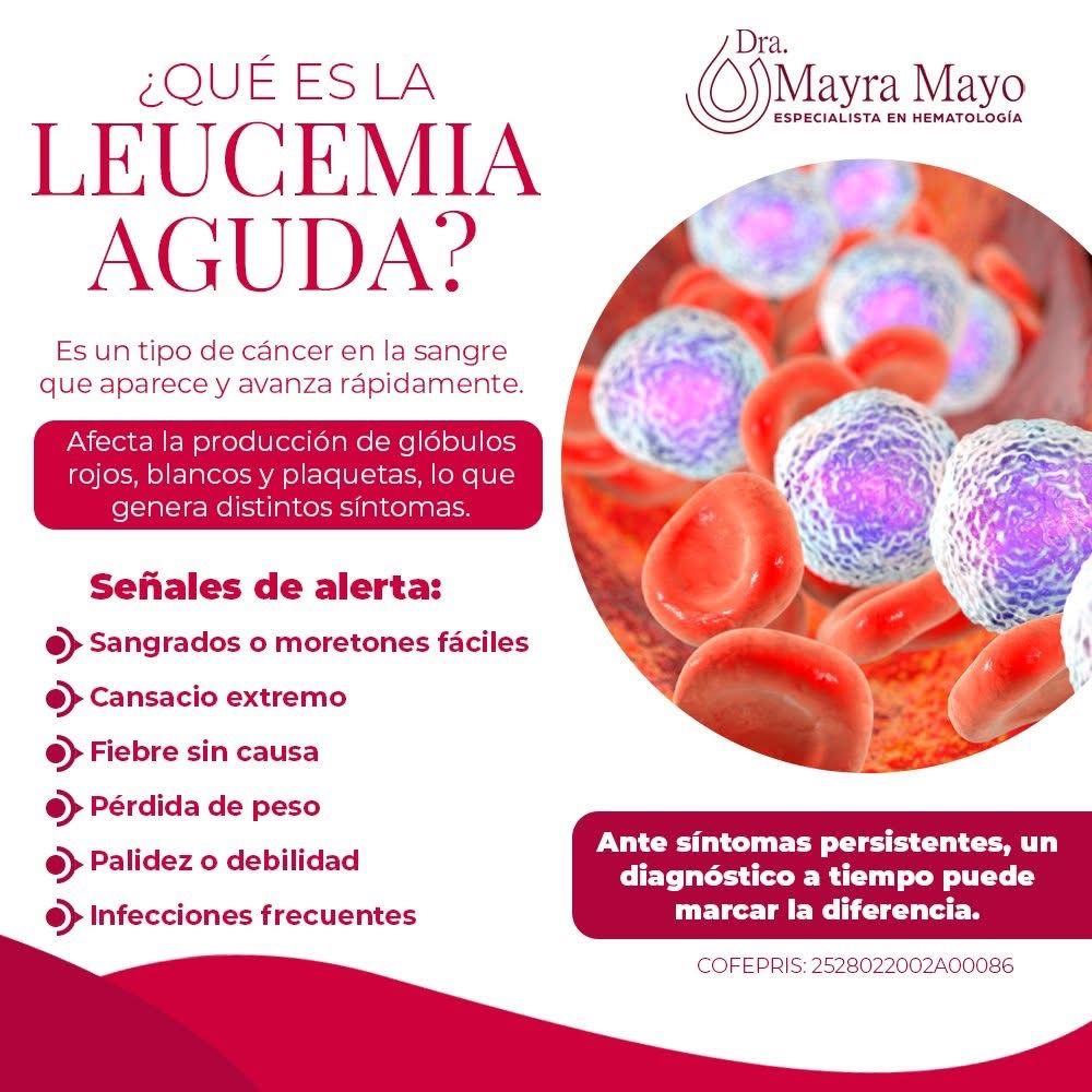 Mayra Lizbeth Mayo Martinez-8