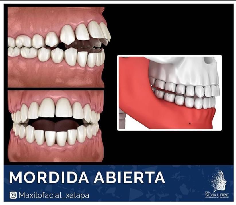 Silvia Uribe Márquez-7