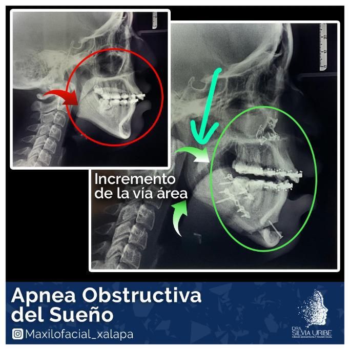 Silvia Uribe Márquez-16