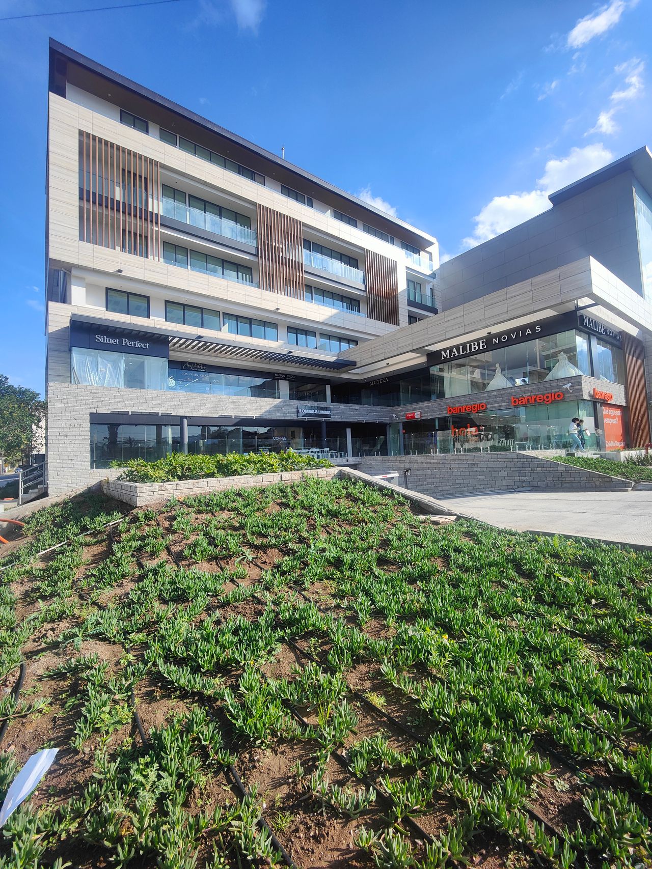 Cristina Cortés Peralta-3