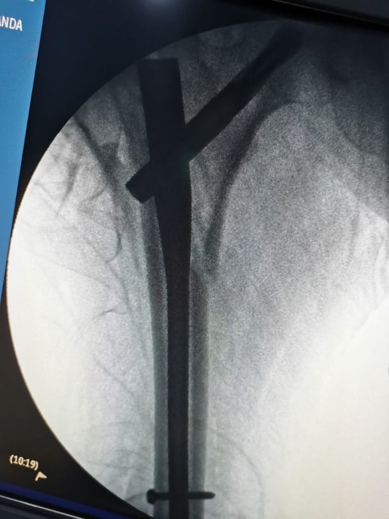 Gisela Cleto Zepeda-63