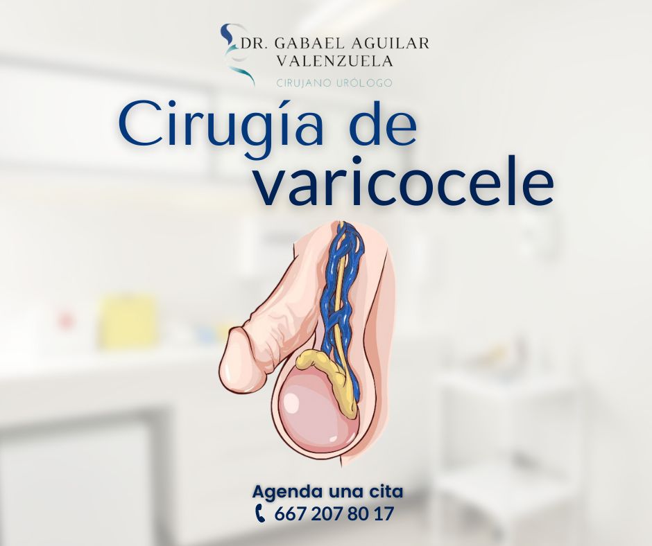 Alberto Gabael Aguilar Valenzuela-7