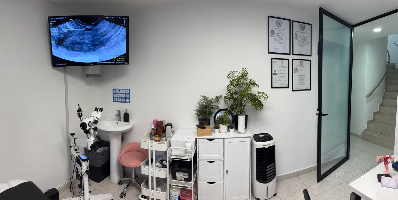 Mara Antonieta Said Calva-6