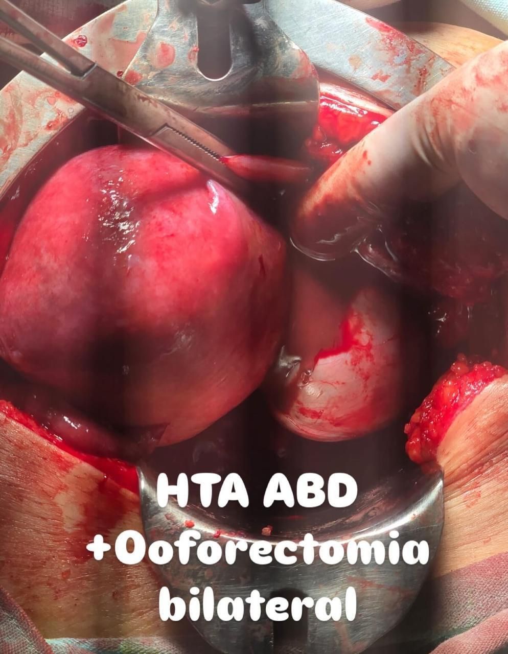 Sandra Faviola Dávila Molina-31