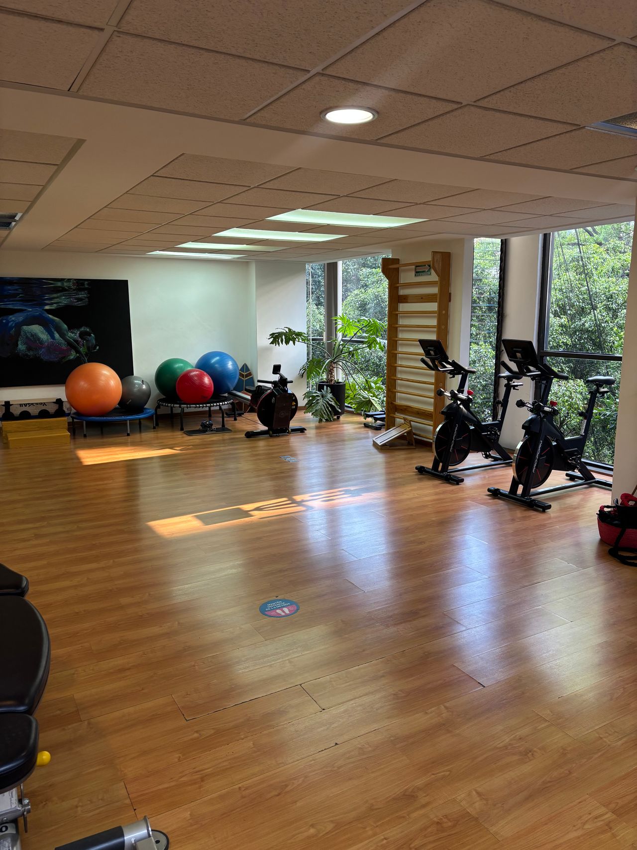 Alexa Montserrat Romo Zerecero-10