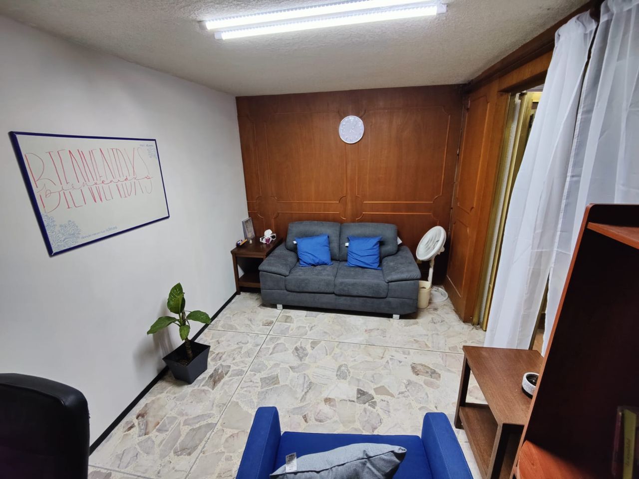 Alejandra Olivares Jasso-8