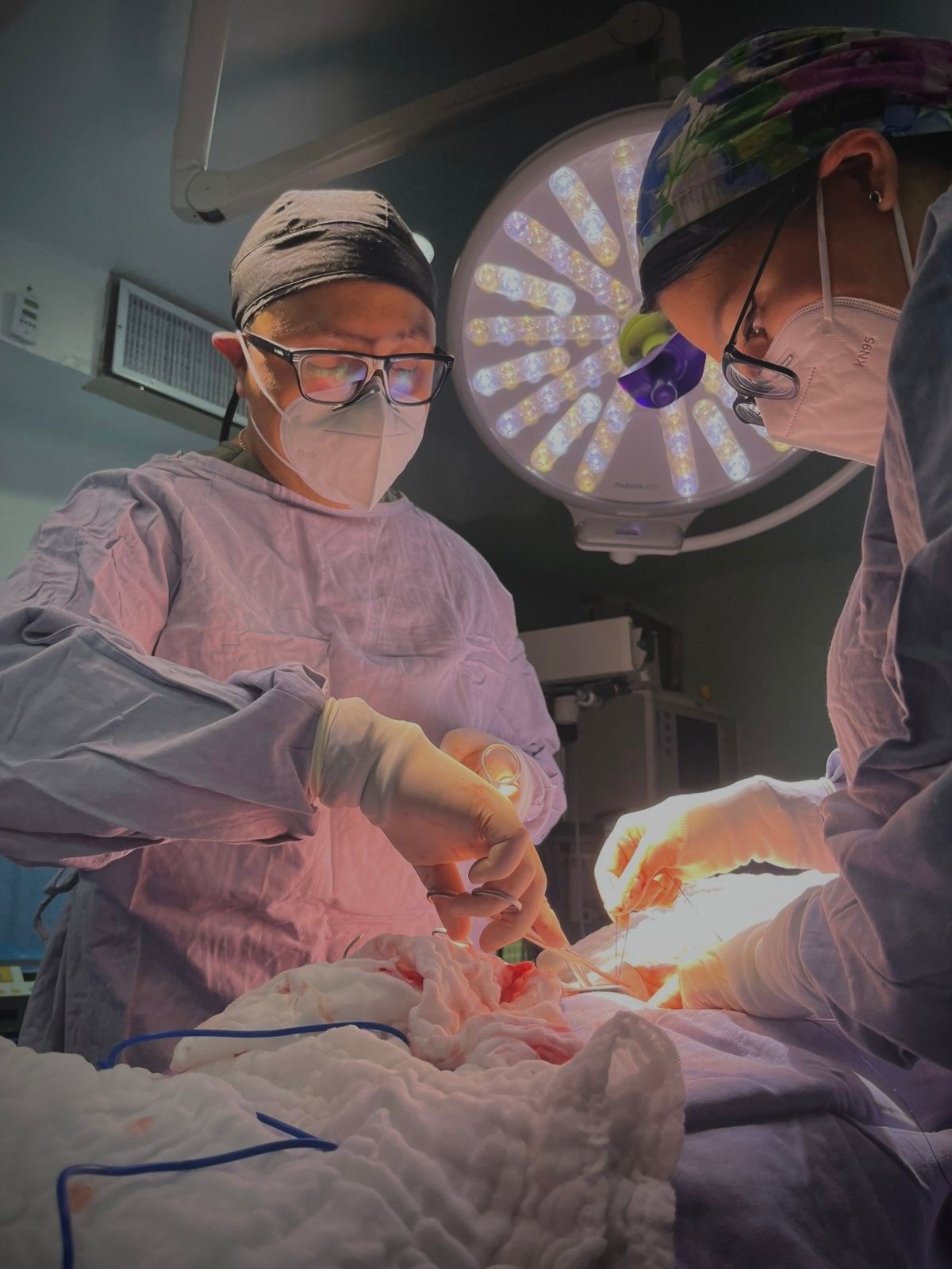 Norma Garcia De Leon-3