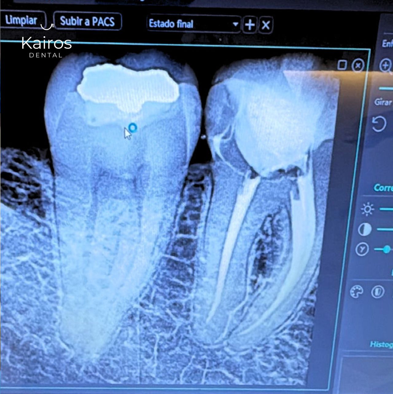 Celina Cárdenas González-13