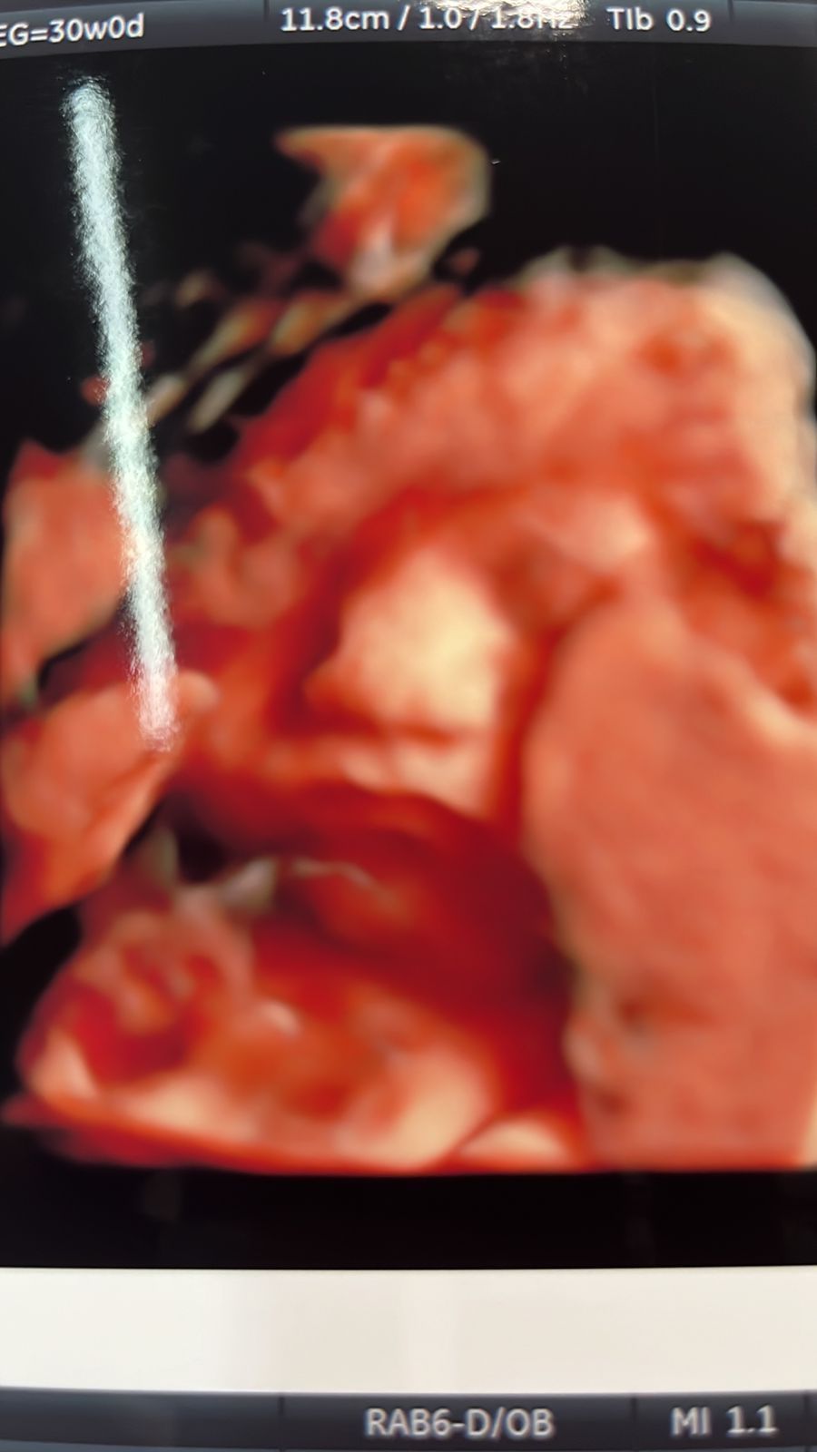 Luis Miguel Campos Olmedo-4