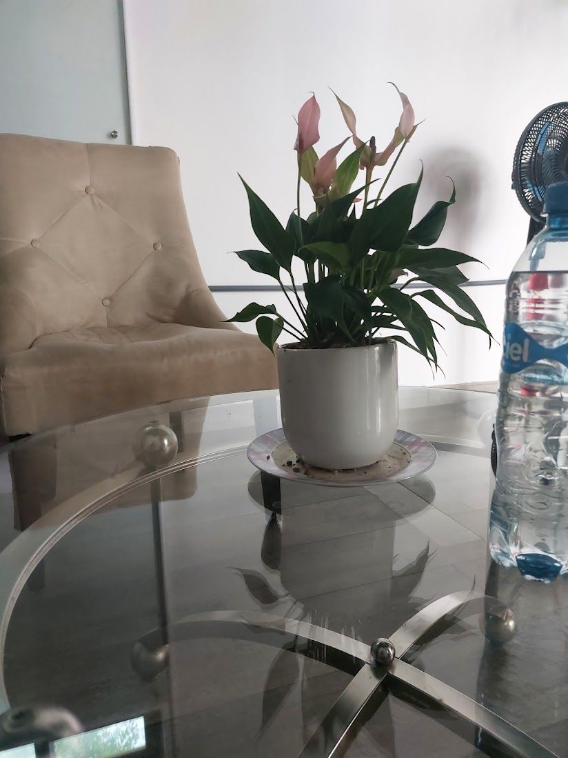 Brenda Pamela Contreras Castellanos-0