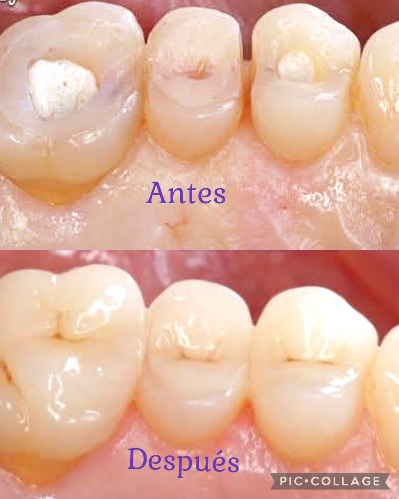 Fabiola Arcos Huesca-15