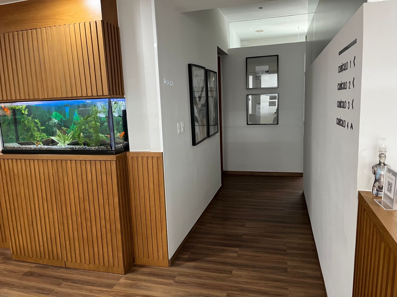 Fabiola Oropeza Bonfanti-8