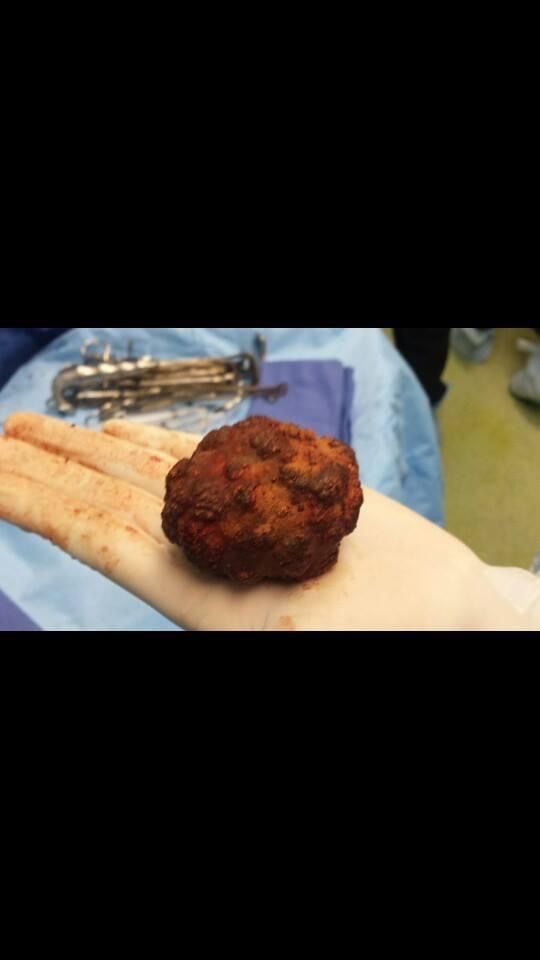 Federico Valdes Sepúlveda-2