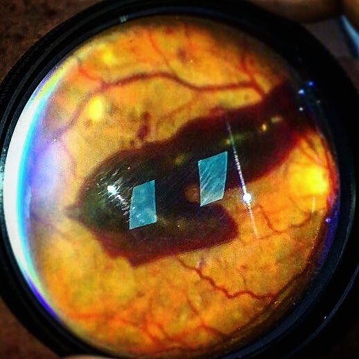 Rocío Escárcega Servín-6