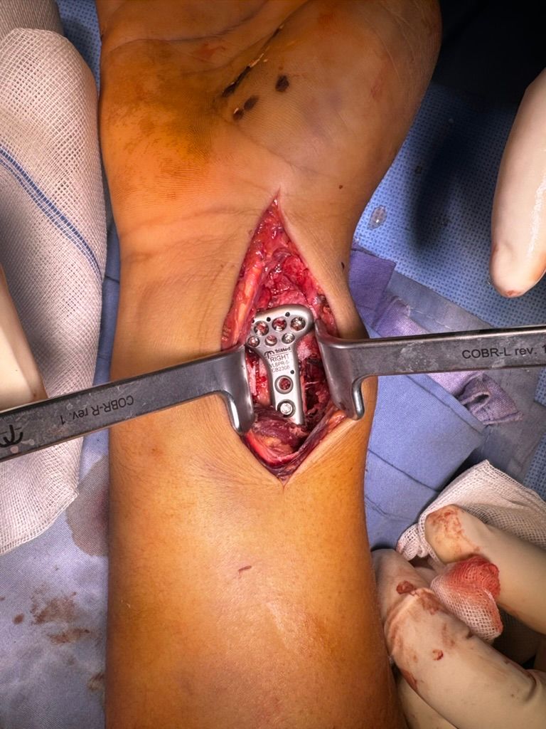 Jose De Jesus Perez Cisneros-9