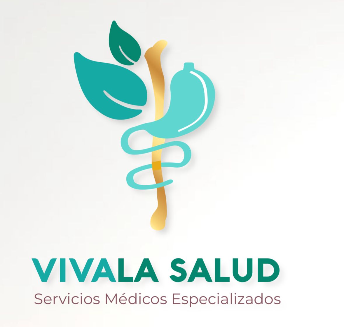 Rafael Domínguez Pérez-4