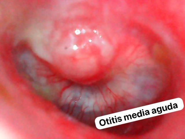 Nuria Esperanza Boronat Echeverria-18