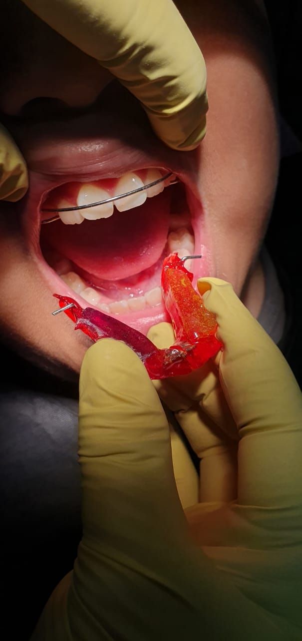 Teresa Virginia De Los Santos Falcón-2