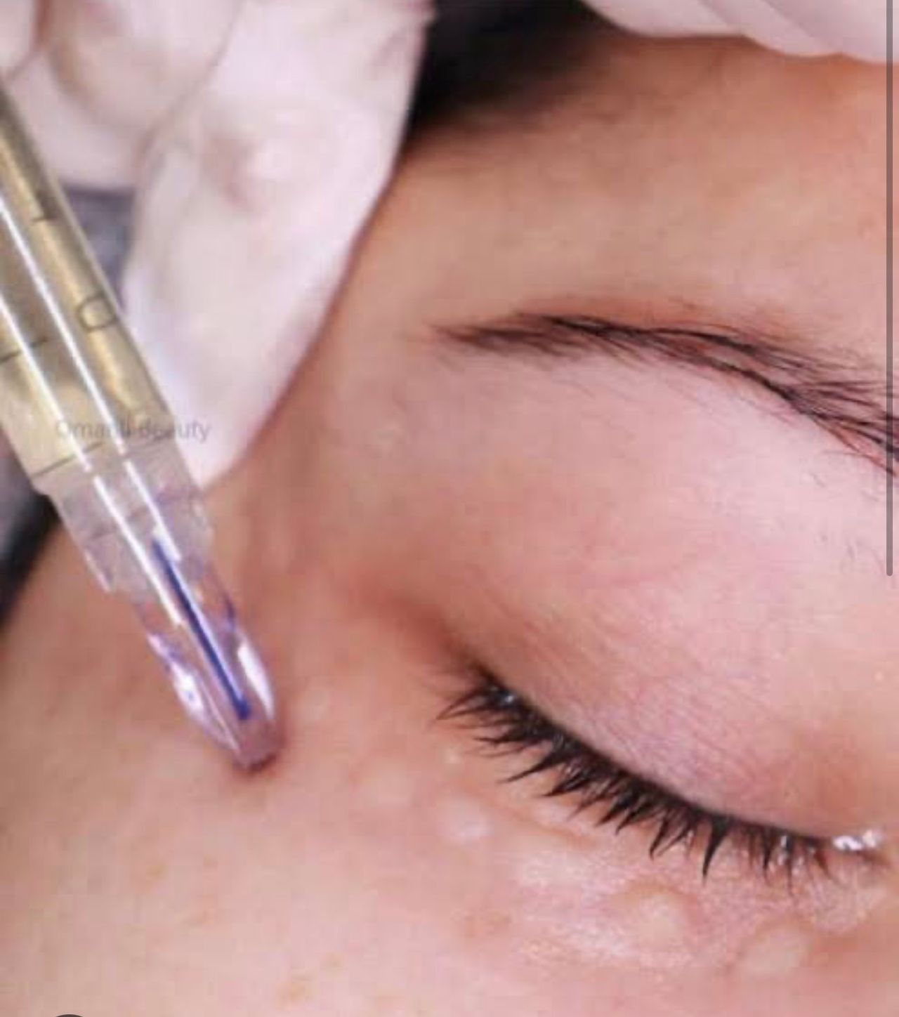 Alejandra Paola Castañeda Contreras-10