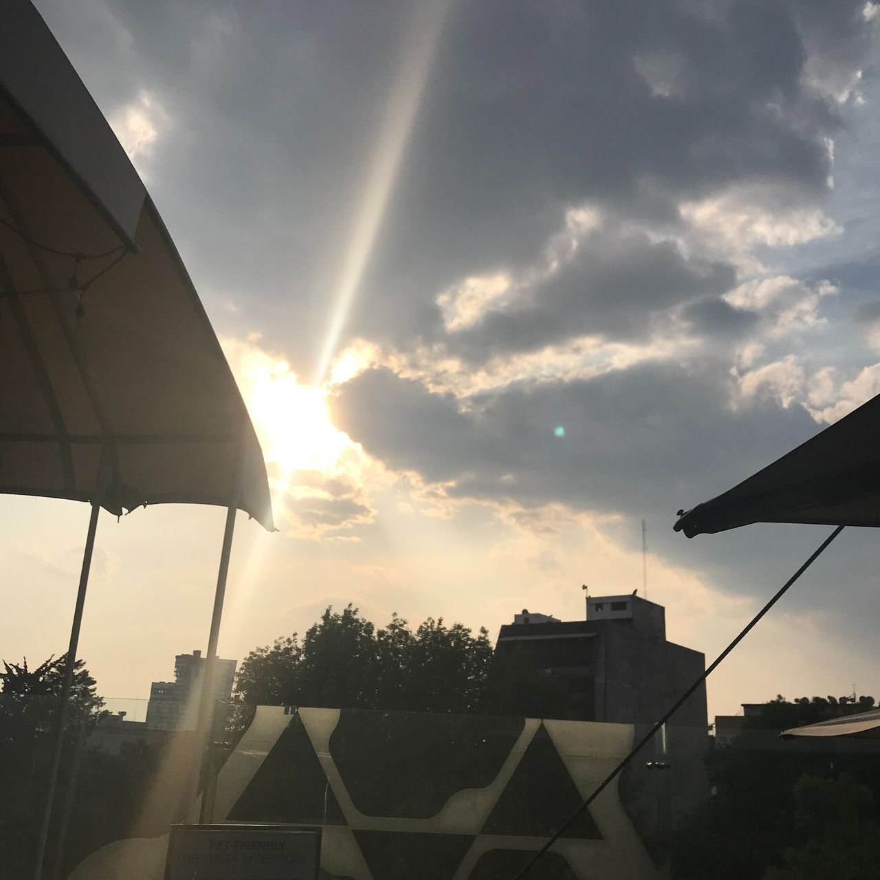 Horacio Contreras Colín-12