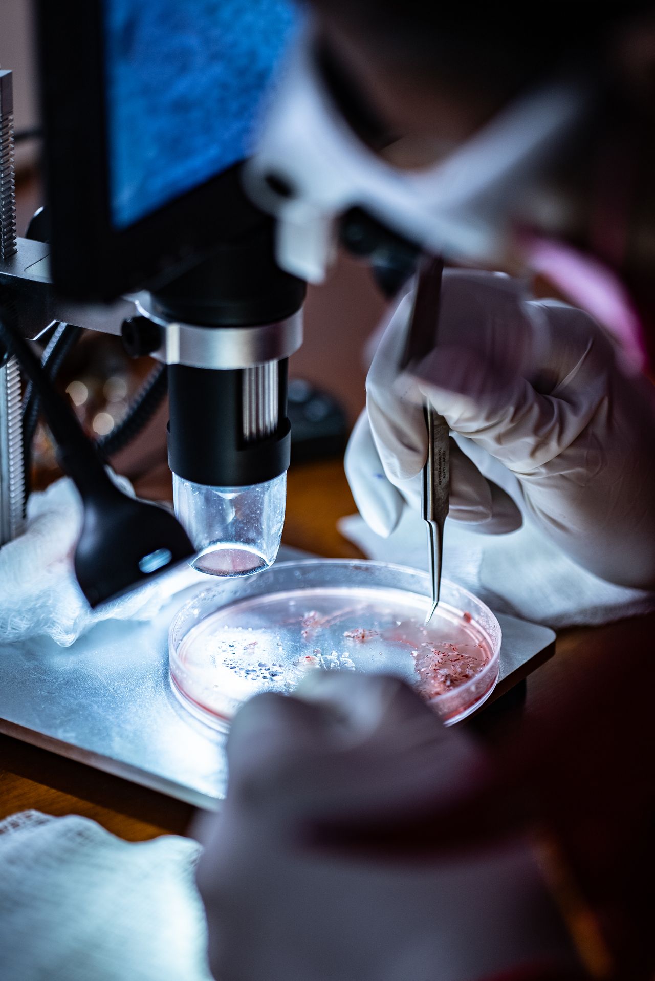 Adrian Hernandez Lopez-35