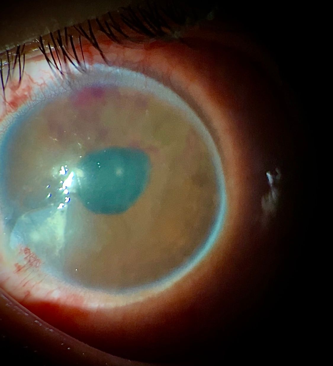 Máximo Rojas Bahena-0