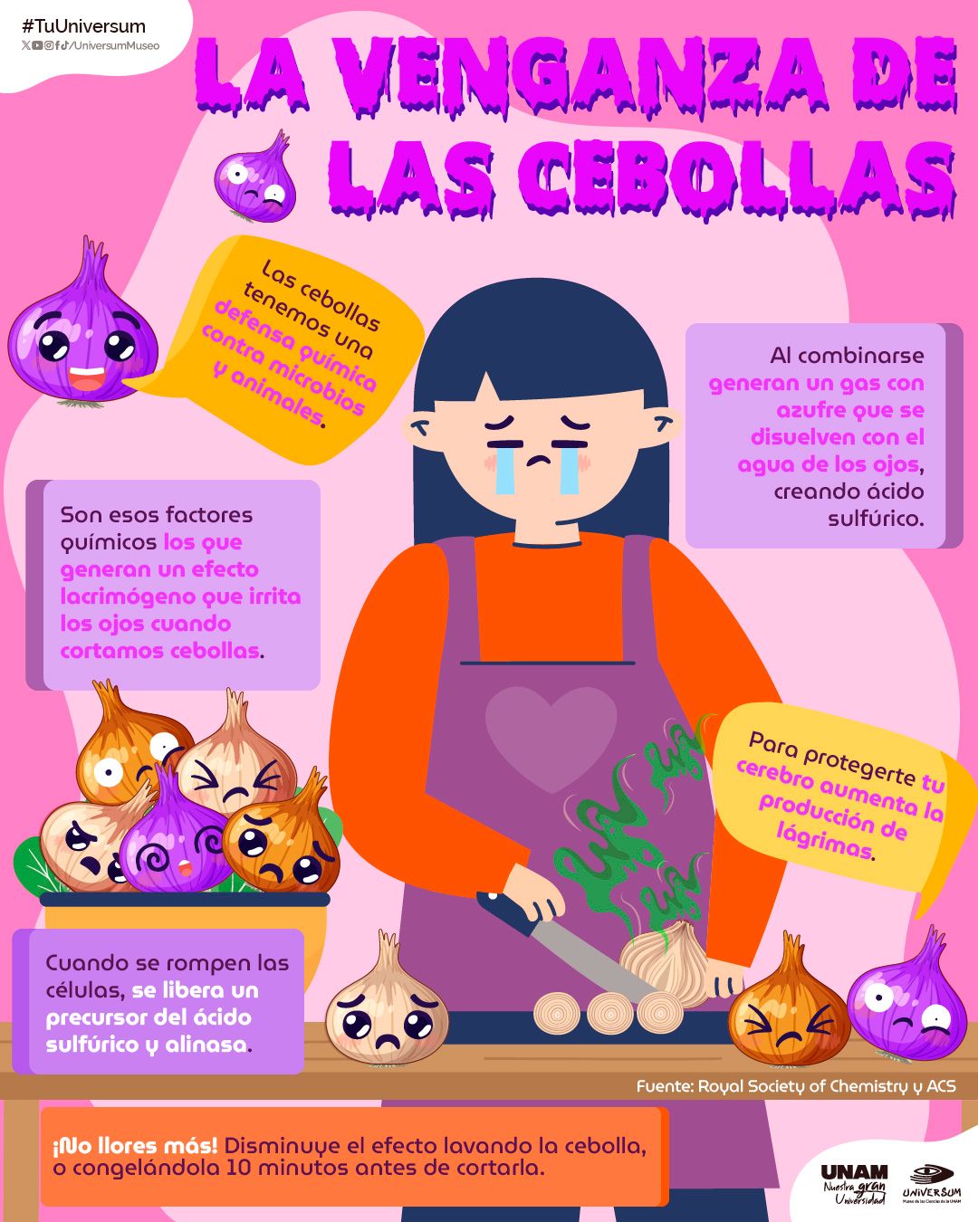 Raymundo Alejandro Cuevas Escalante-307