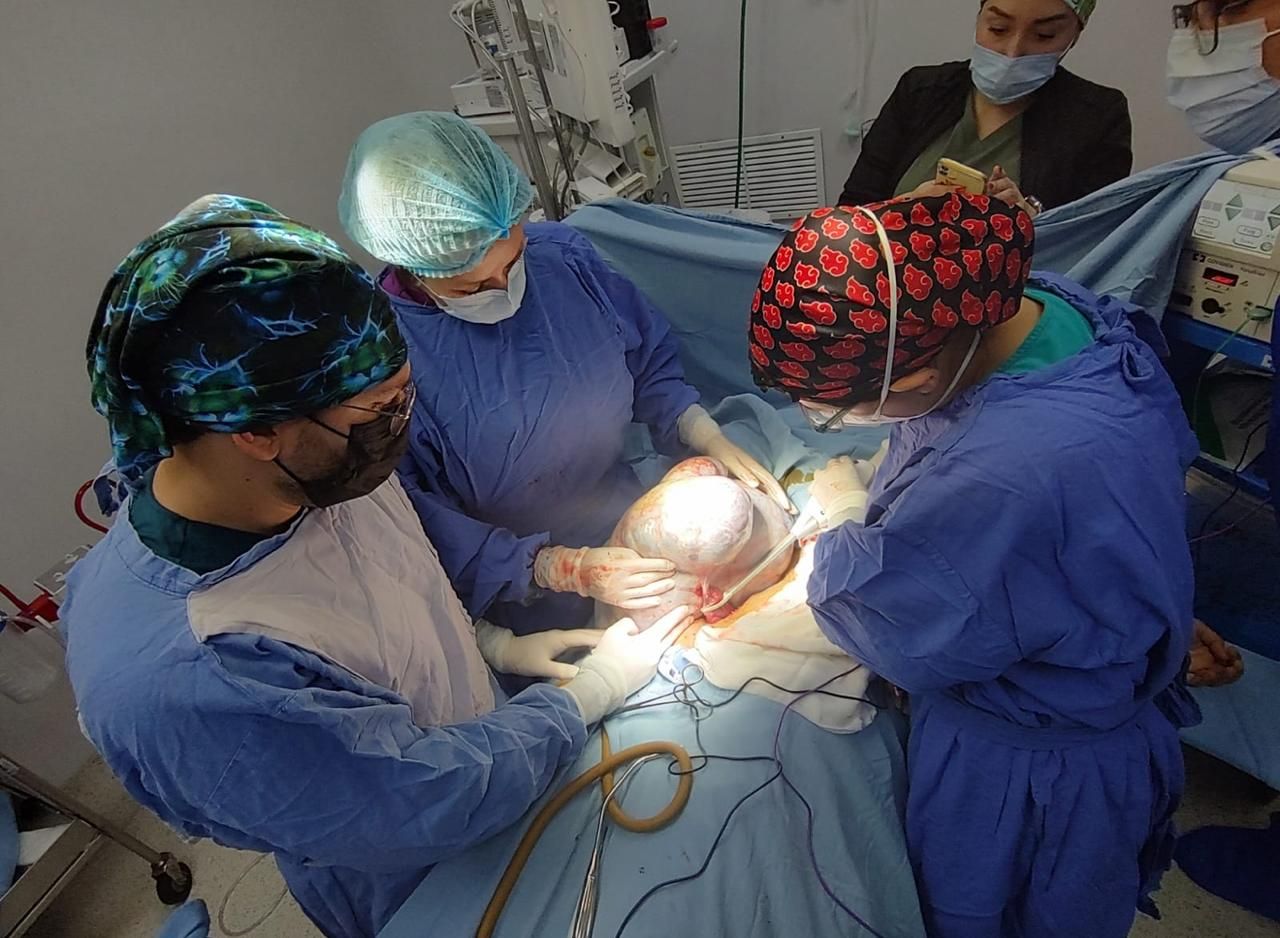 Alejandra Oliva Cortes-2