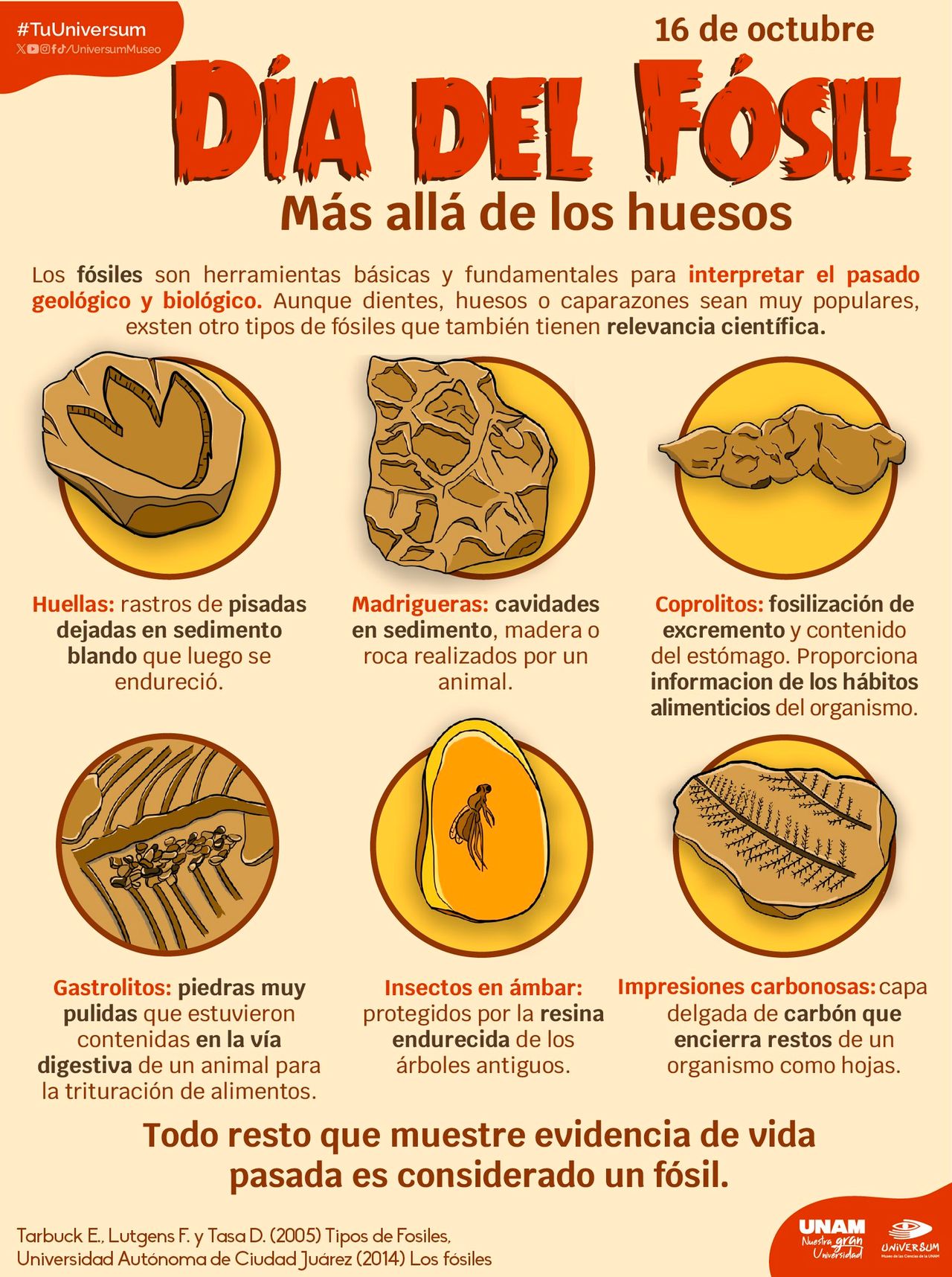 Raymundo Alejandro Cuevas Escalante-353