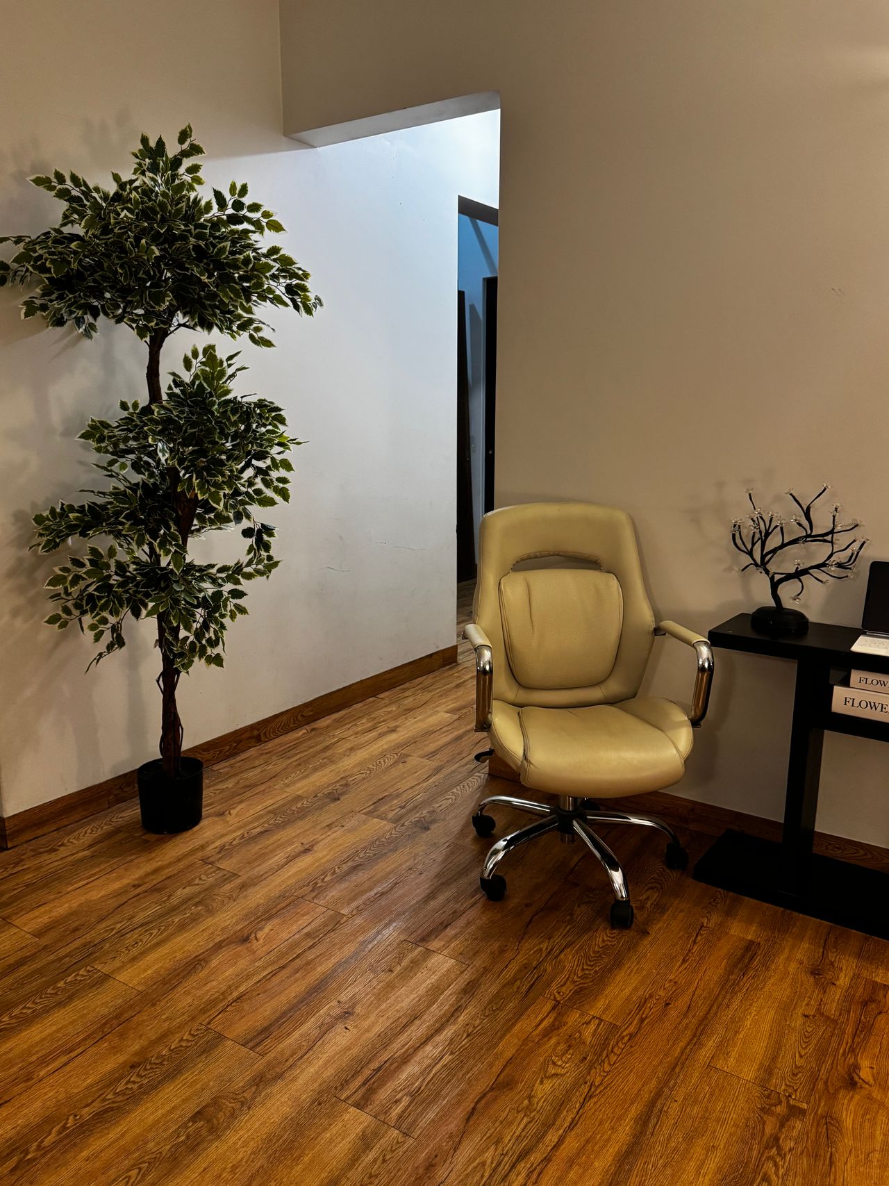 Victoria Brenda Vilchis Ferreyro-4