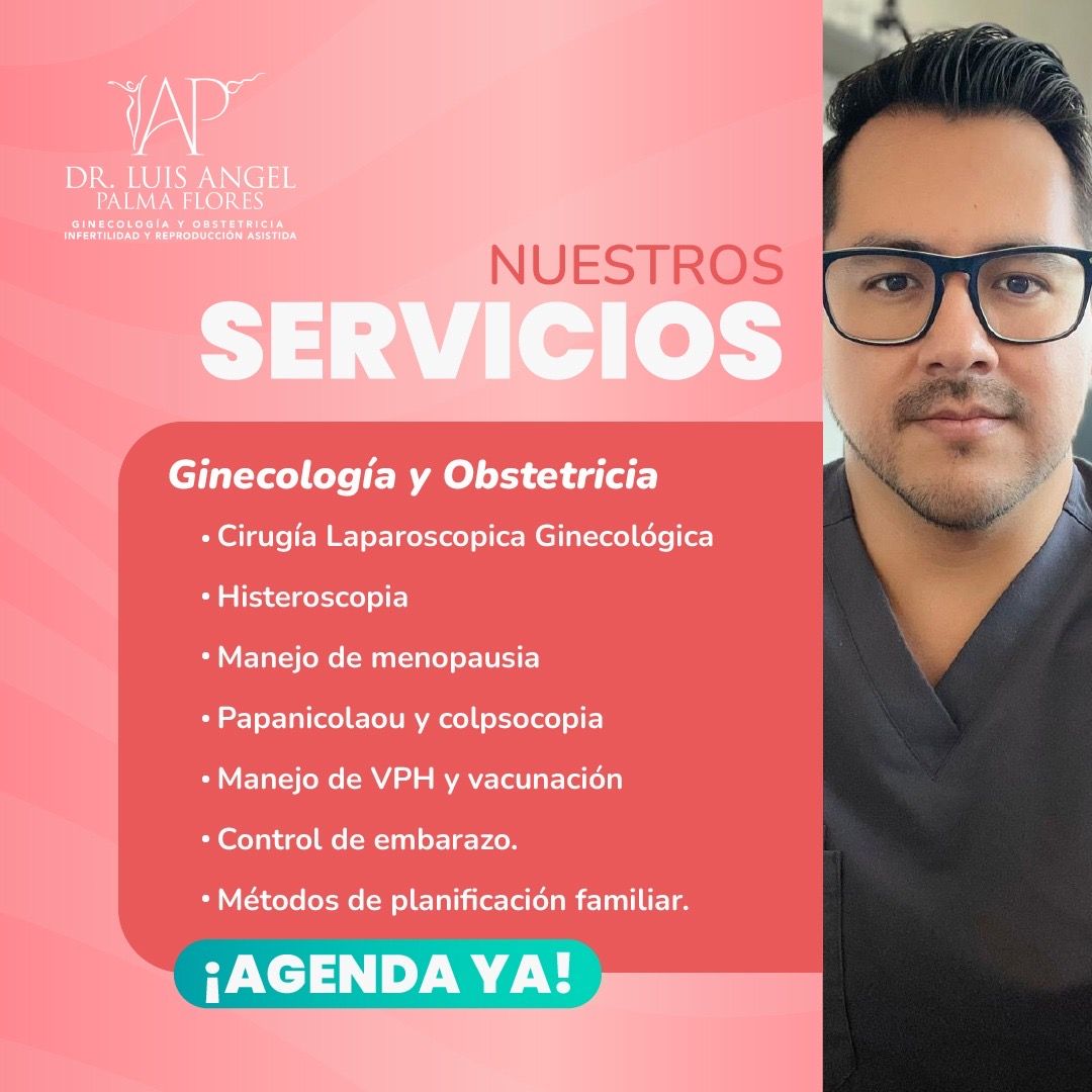 Luis Angel Palma Flores-0