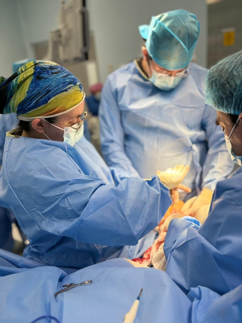 Cynthia Elena  Gallardo Gutierrez-2