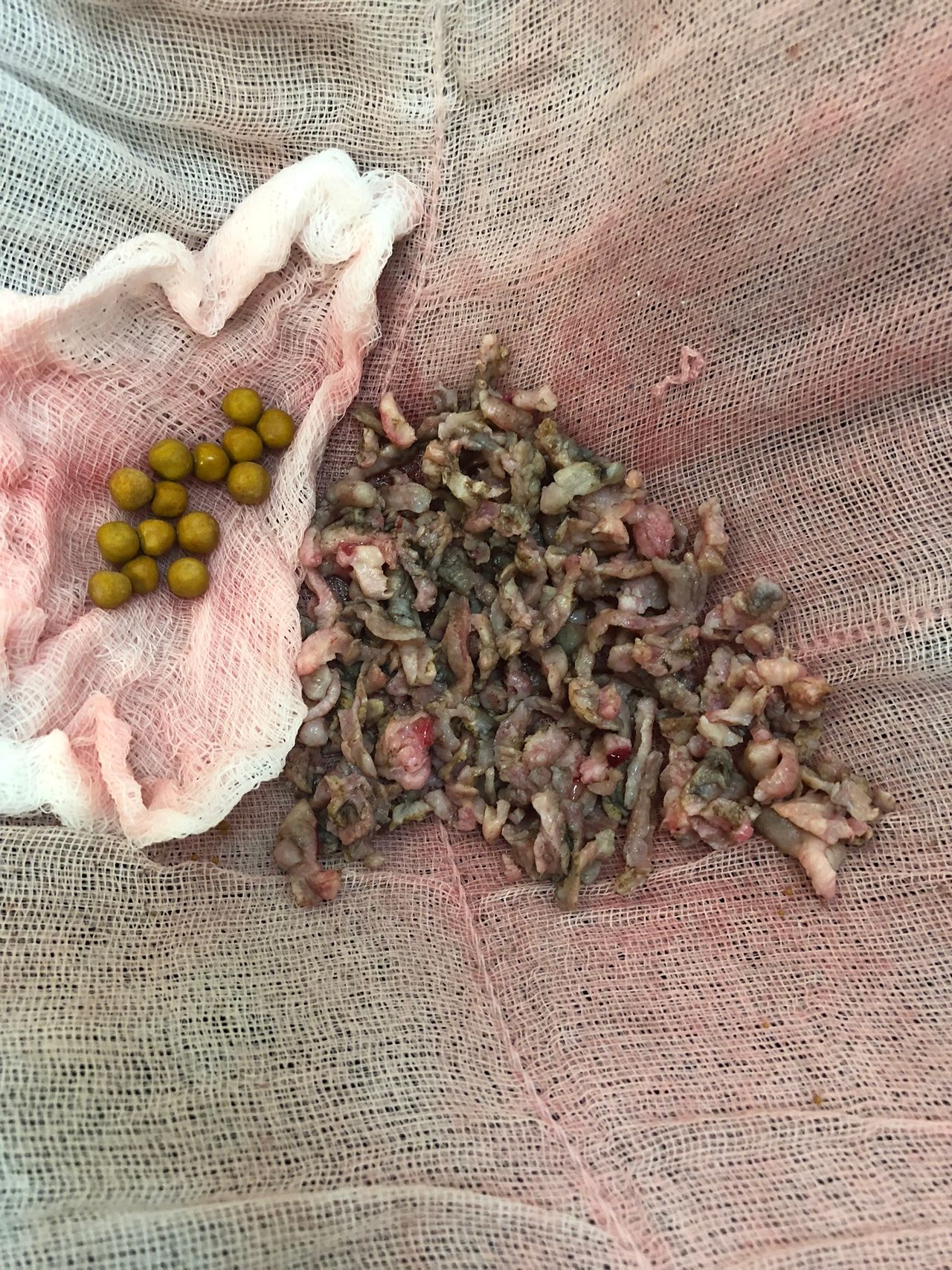 Roberto Juvenal Pérez Avila-7