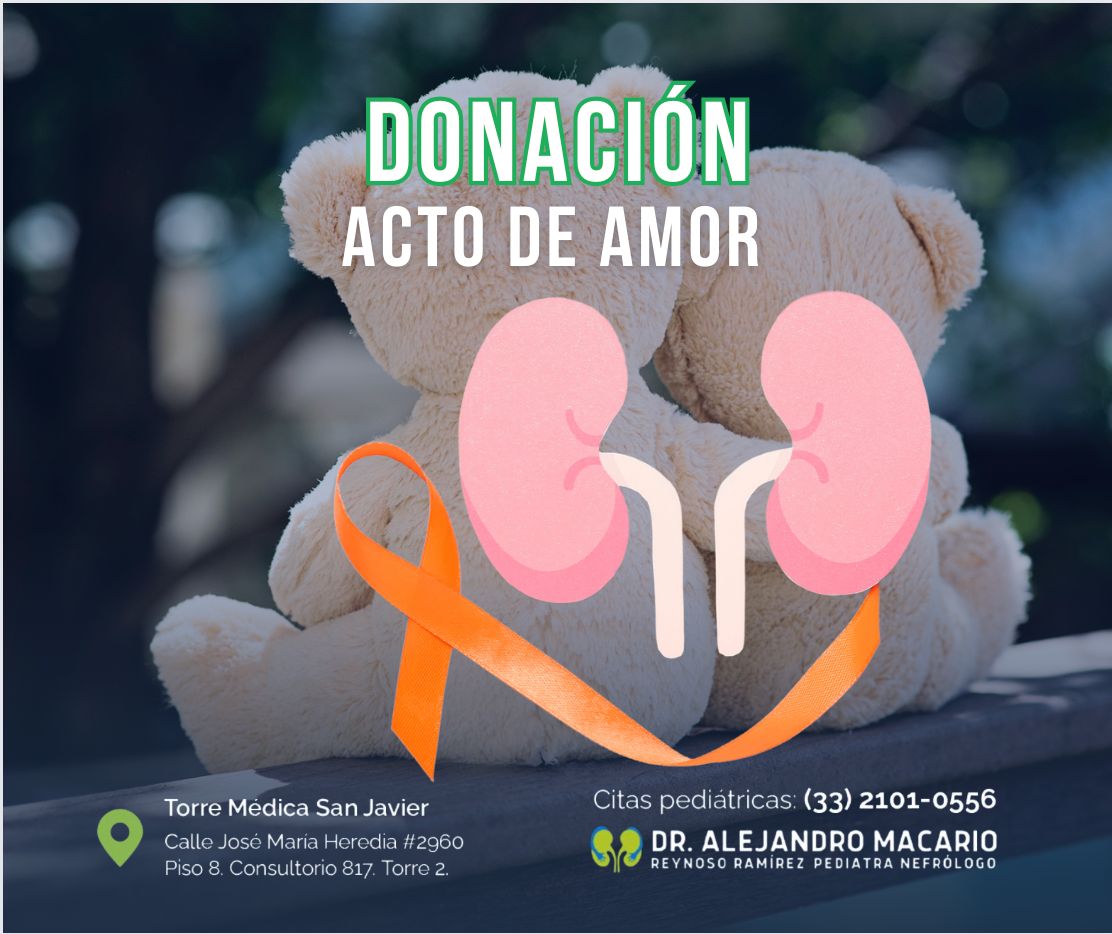 Alejandro Macario Reynoso Ramírez-8