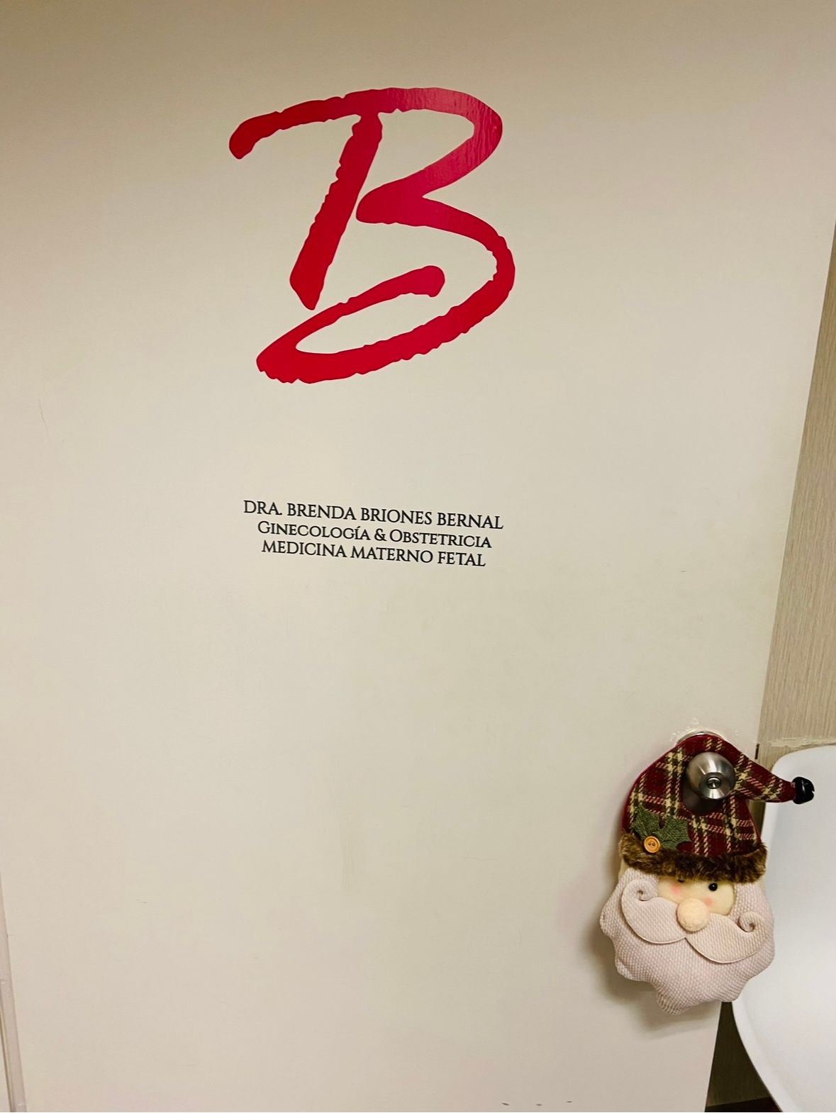 Brenda Lisset Briones Bernal-1