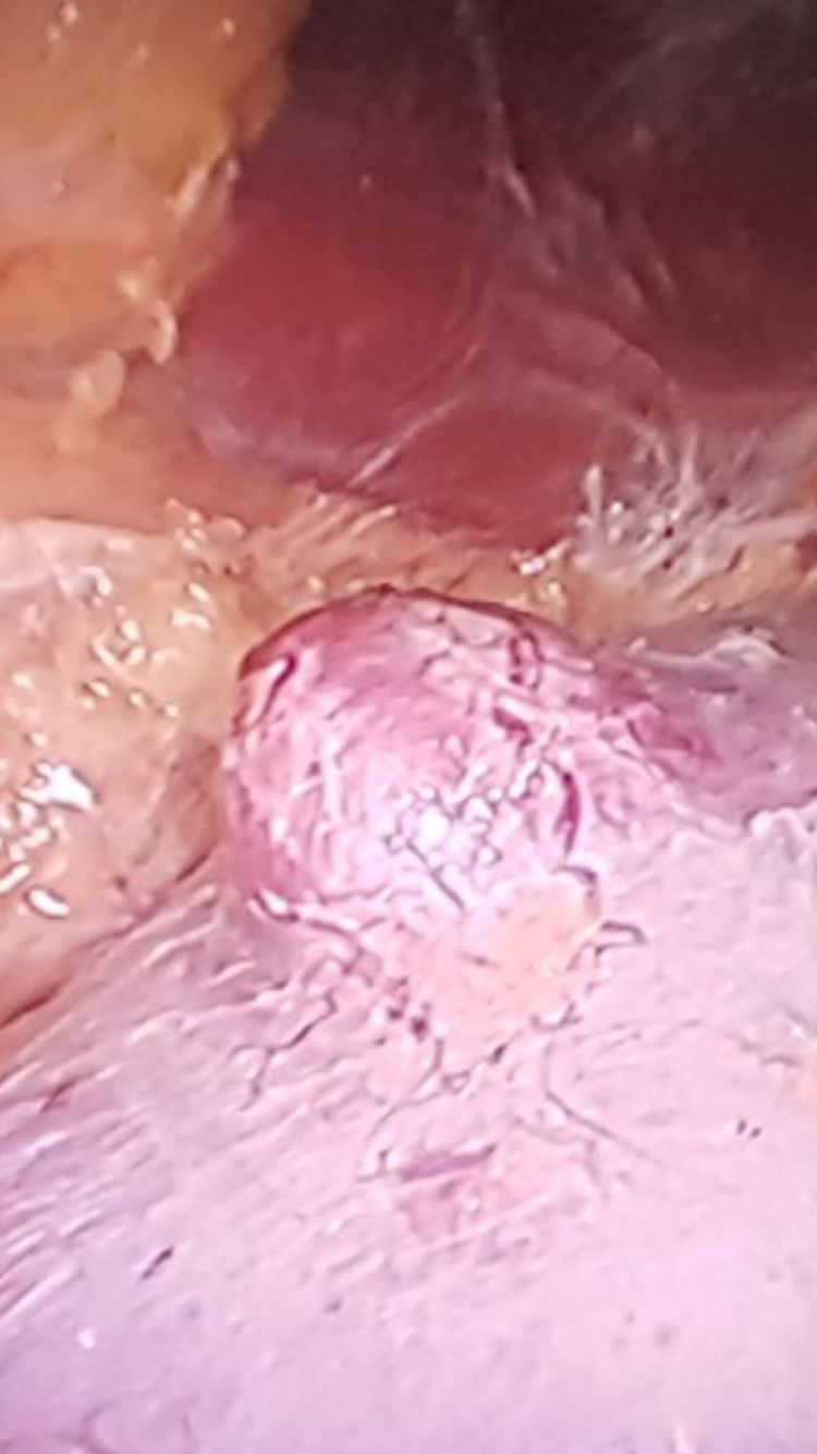 Juan Pablo Santos Uscanga-10