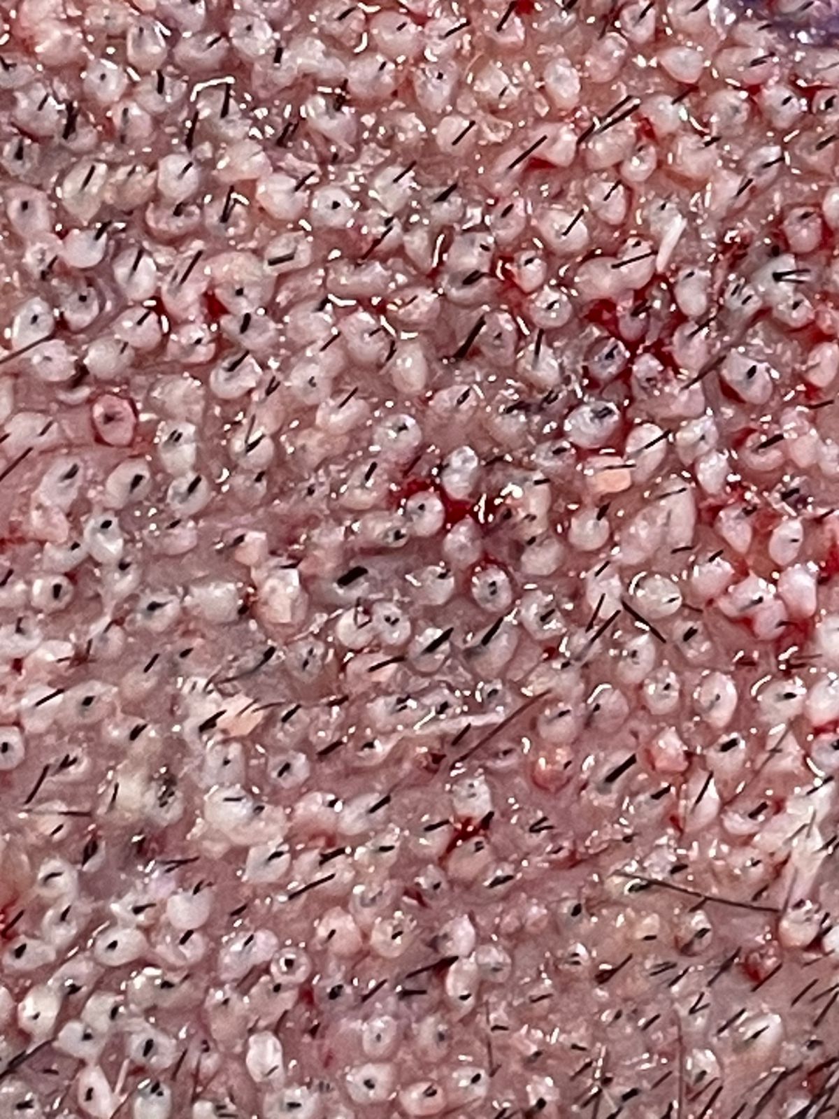 Karla Vanessa Becerra-19