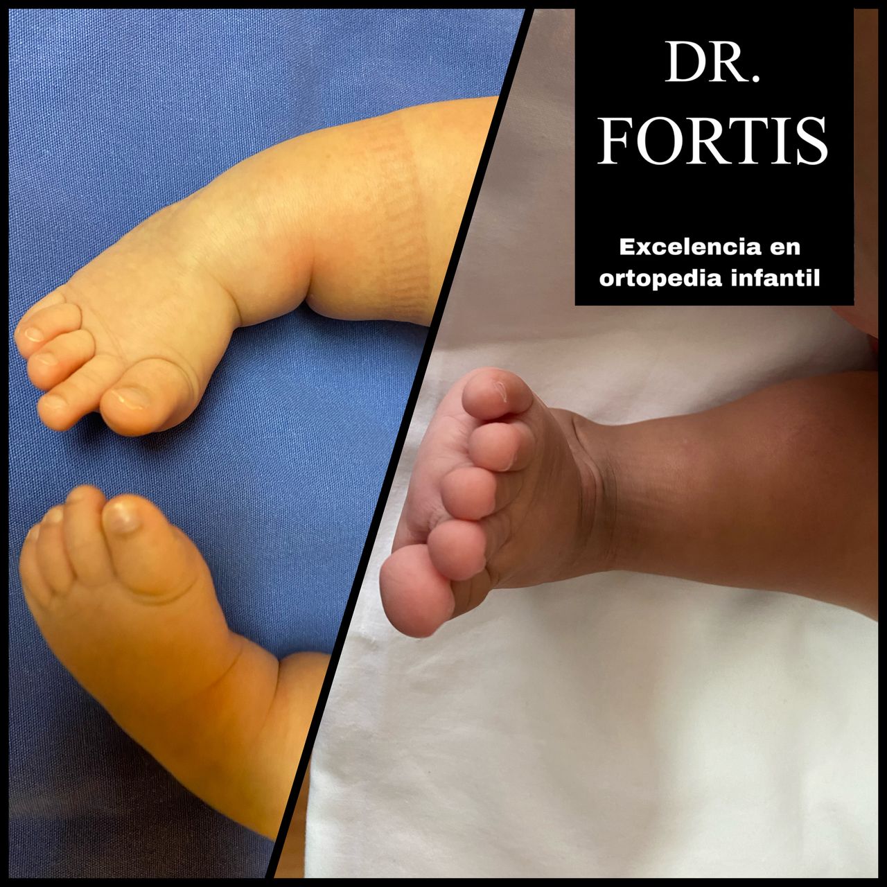 Ignacio Osvaldo Fortis Olmedo-7