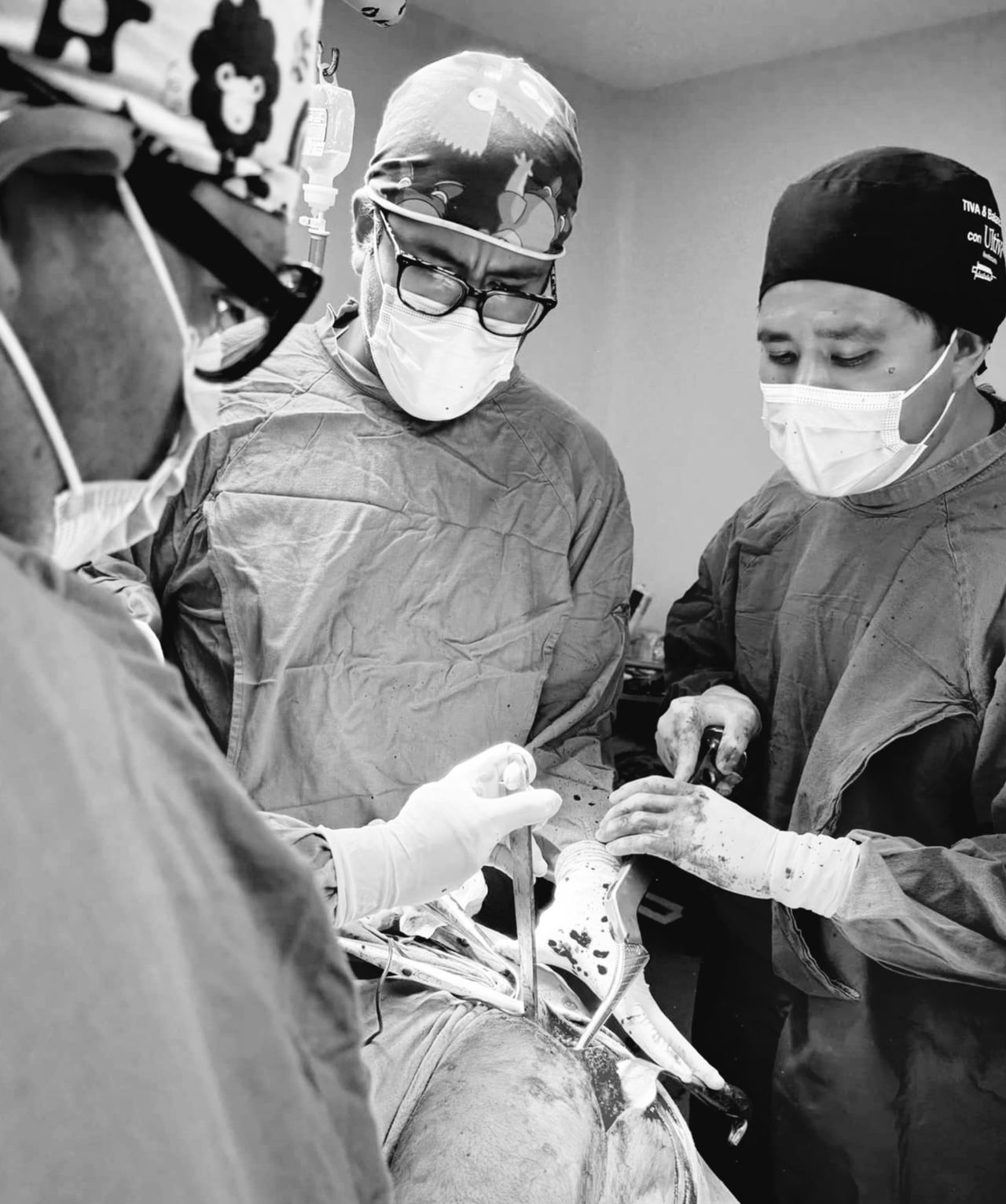 Luis Fernando Martínez-5