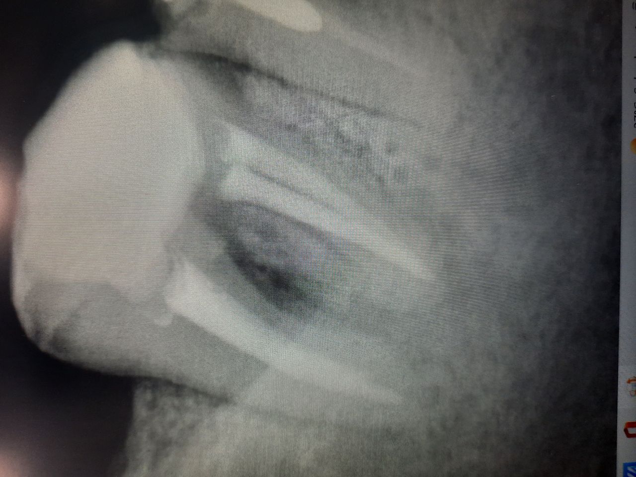 Oscar Justo Bustos-3