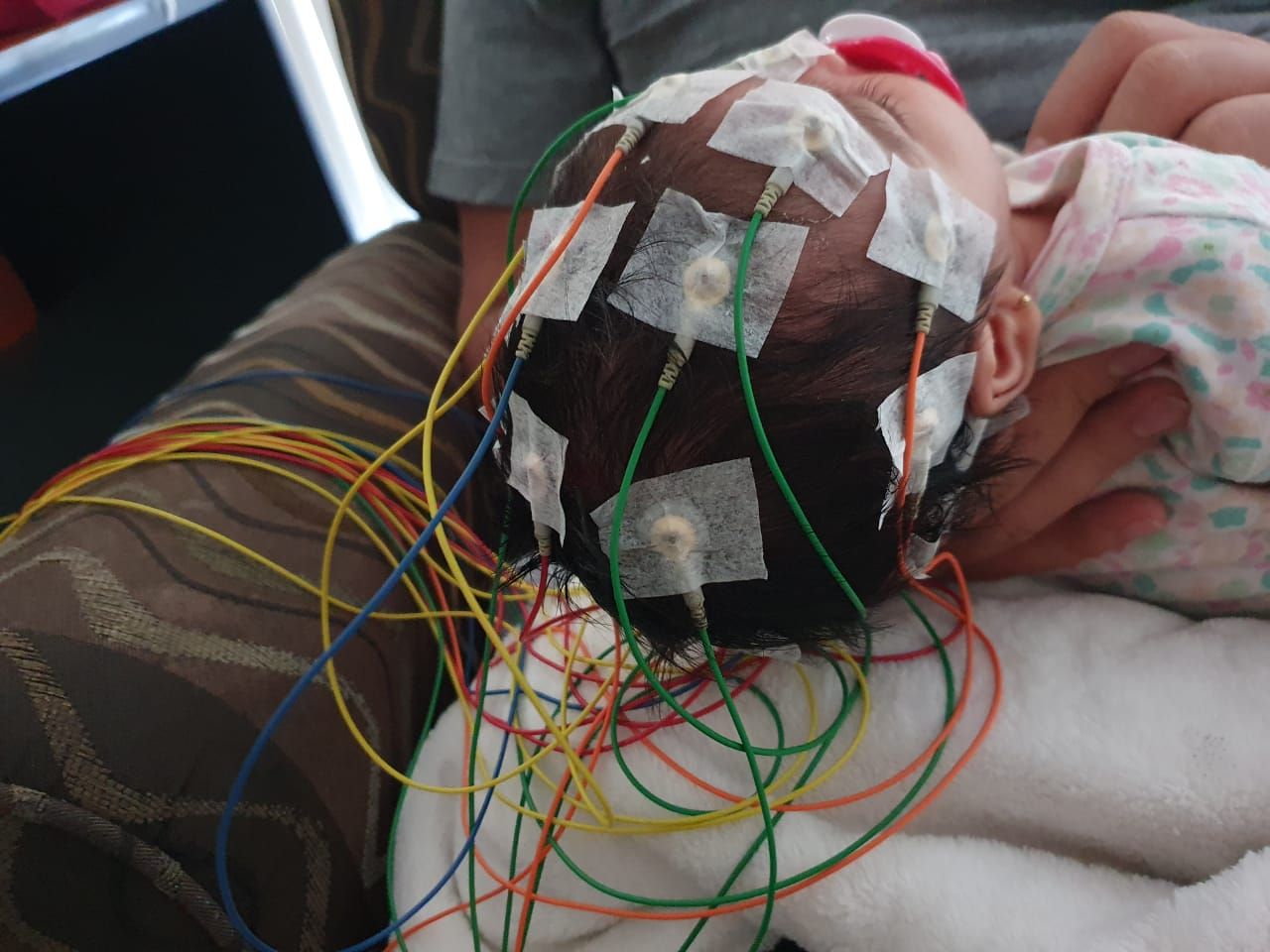 Dora Camacho Vázquez-2