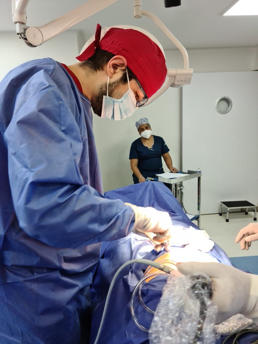 Alejandro Jiménez Canet Atilano-11