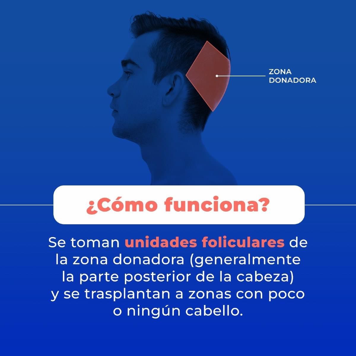 Luis Arturo Alcocer Díaz-4