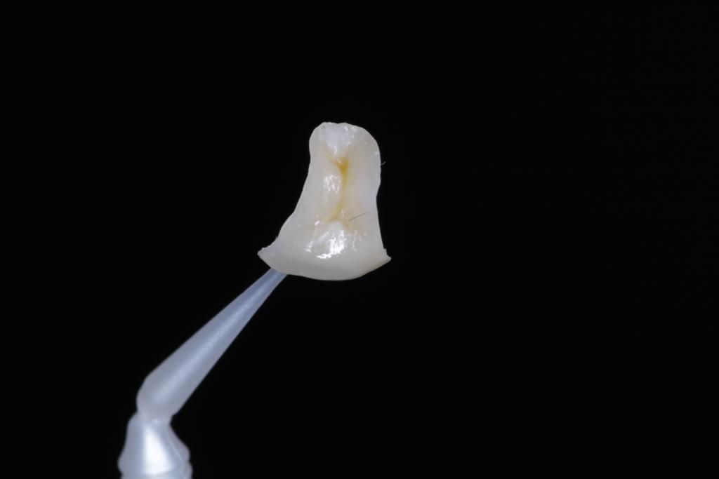 Josué Márquez Gómez-112