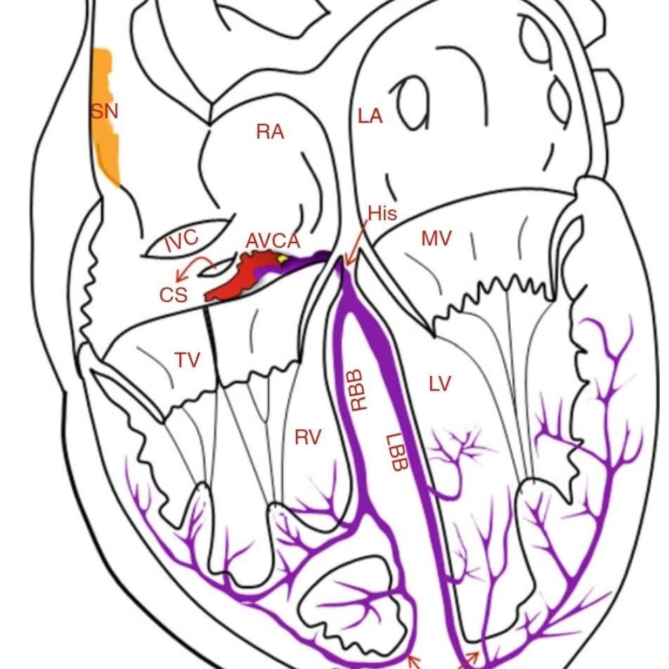 Bernardo Ramírez Martínez-5