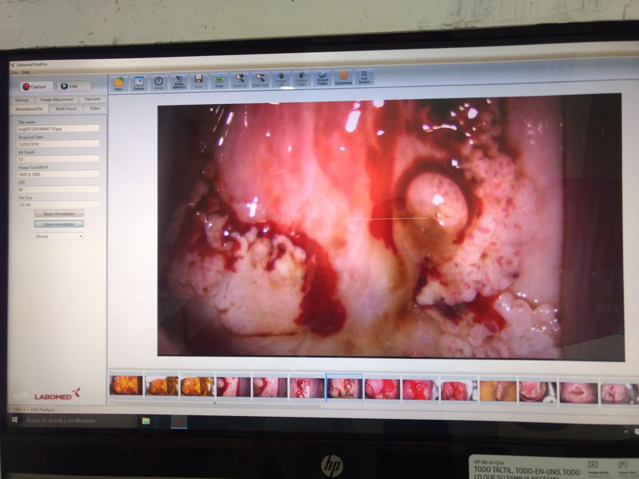 Auria Viridiana Avendaño Perez-0